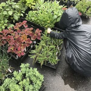 From Gardener to Farmer: A Story for Seedling Season Image